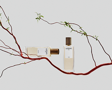 Fragrances